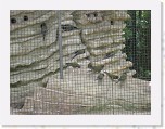 Dierentuin Burgers  Zoo 029 * 3648 x 2736 * (5.38MB)